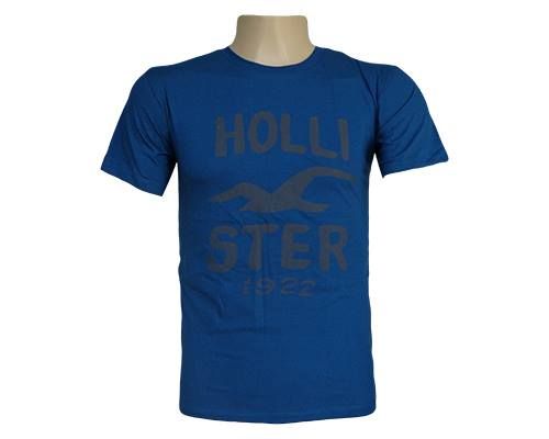 Camisa Hollister